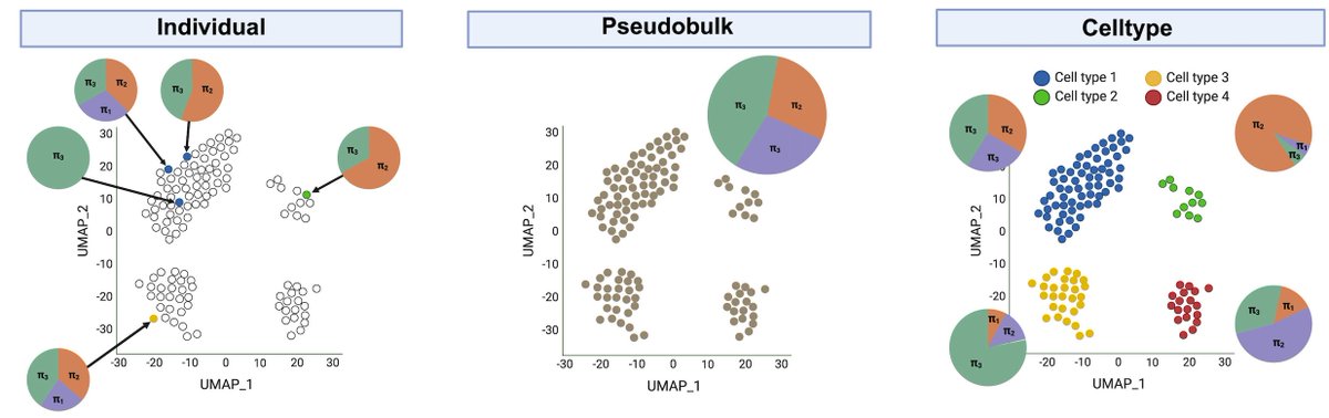 matthew bendall - mlbendall.bsky.social tweet media