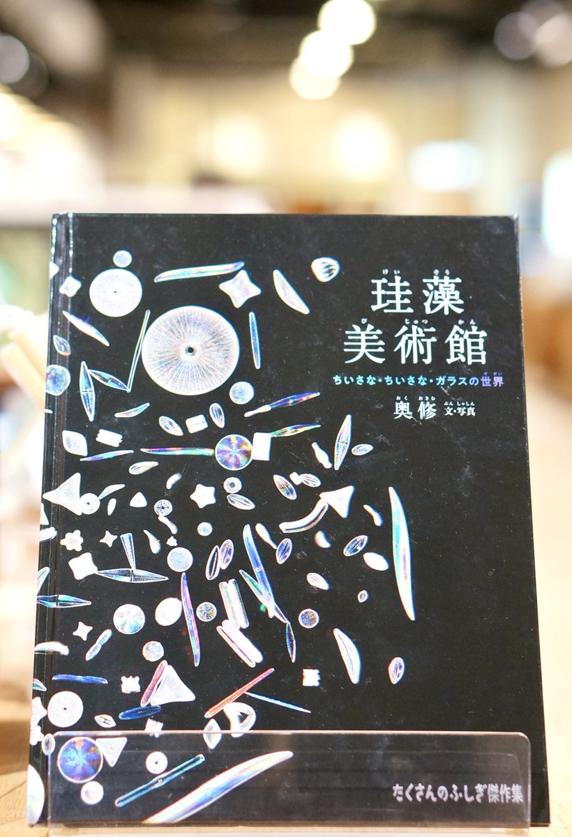 PW_tachikawa's tweet image. 『#珪藻美術館 』 #奥修 #福音館書店
珪藻の不思議な世界をたっぷりと紹介してくれる一冊。顕微鏡でしか見られない世界。なんて美しいのでしょう!ただいまPWでは『たくさんのふしぎ』シリーズの絵本を売り場でご紹介しています✨
#エキュート立川
#一日一冊のえほん