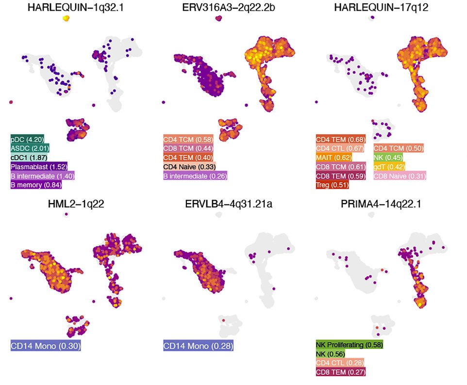 matthew bendall - mlbendall.bsky.social tweet media