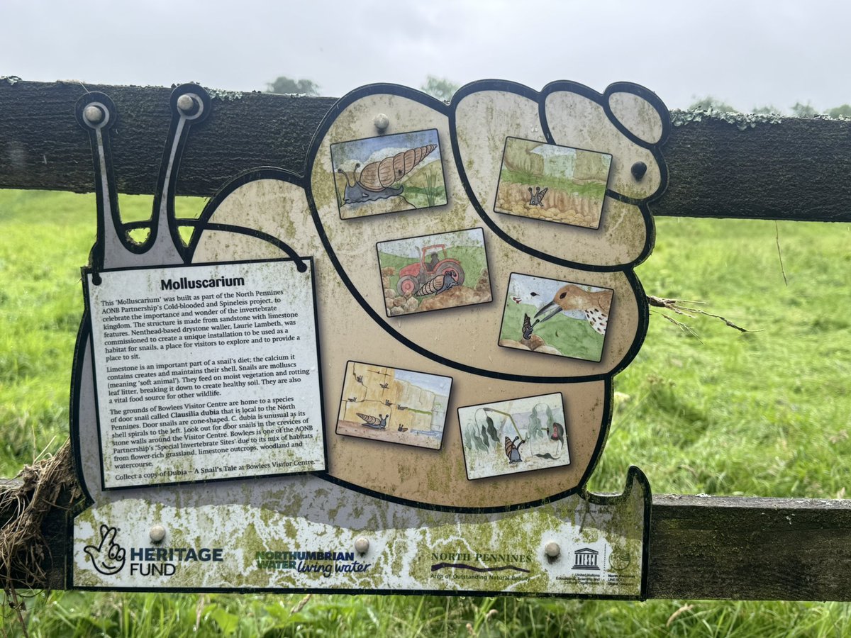 Bowlees molluscarium