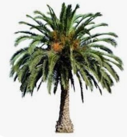 AliKako89783312's tweet image. تزوجت من شيعي بدون من بدون الكويت وهي سنيه سوريه وتنشط على سوشيال ميديا وتنادي بابادة كل من يعارض الحكم السني حسب ادعئها والذي كان يضاجعها بدون شيعي كويتي .
والمصيبه معظم السورين الأغبياء ياخذونها مصدر موثوق ويدافعون عنها دفاع اعمى
👇👇👇👇👇👇👇👇👇👇👇