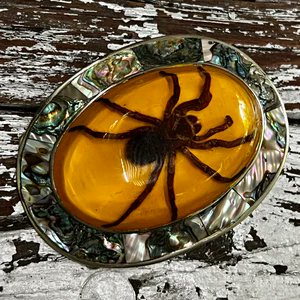 SmalltimeJones's tweet image. these are the kind of belt buckles you wear when you want people to know you get kinda fighty after a couple titos n crans so best to tread lightly there bossman