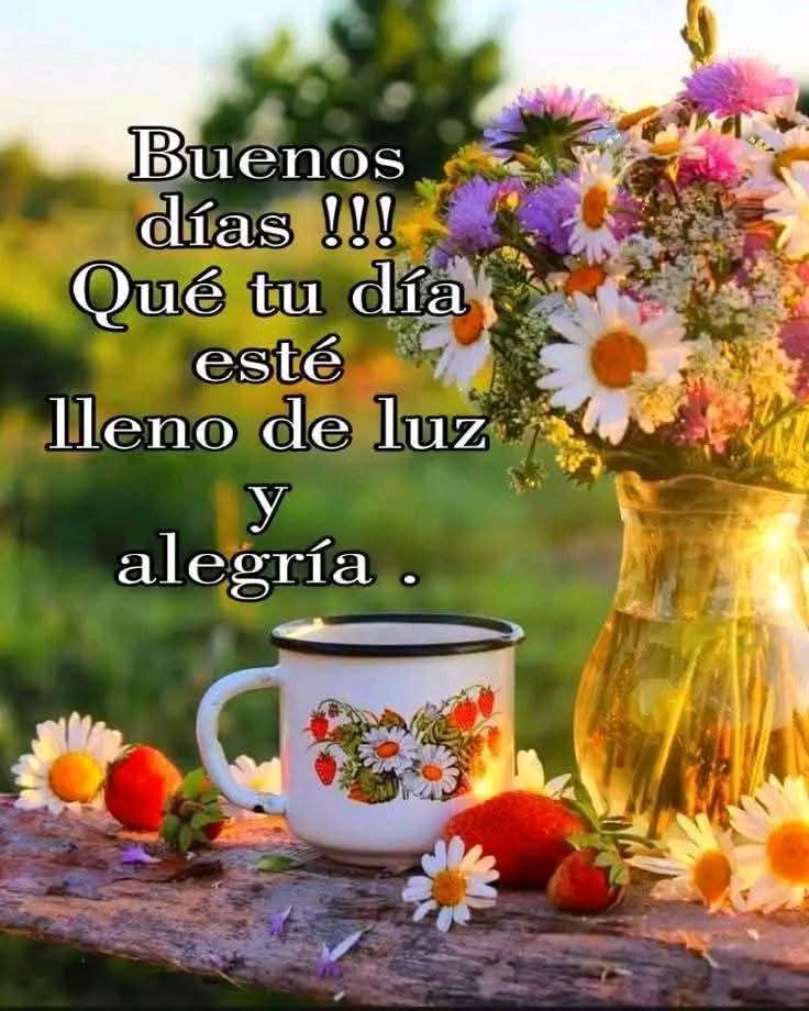 yoli_gotitaymar's tweet image. 🌷🌻🌹🪻🌷🌻🌹🪻
🌷🌻🌹🪻🌷🌻🌹🪻
Cada amanecer es una prueba de que siempre hay oportunidades de renacer .
#FelizMartesParaTodos 🫶
🌷🌻🌹🪻🌷🌻🌹🪻
🌷🌻🌹🪻🌷🌻🌹🪻