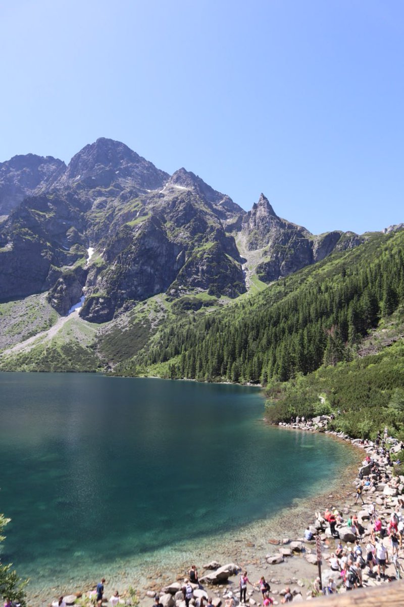 lalithefucker's tweet image. 