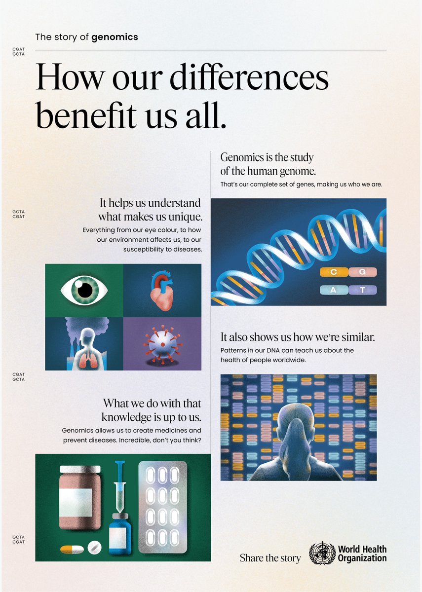 World Health Organization (WHO) tweet media