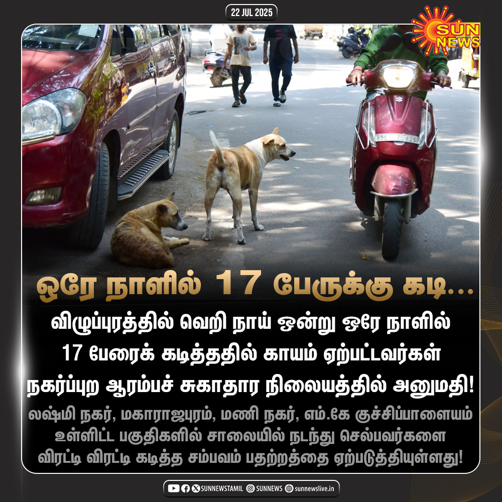 #JustNow | விழுப்புரத்தில் இன்று ஒரே நாளில் 17 பேரை கடித்துக் குதறிய வெறி நாய்..!

#SunNews | #Villupuram | #StreetDogs