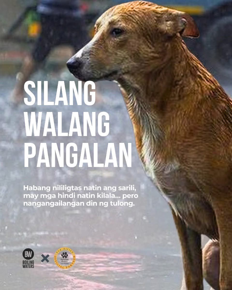 KenStellites's tweet photo. Please take your pets with you during evacuation. No Pets Left Behind. 🥺🙏🏻

#HabagatPH https://t.co/k6LpH3C2Wl