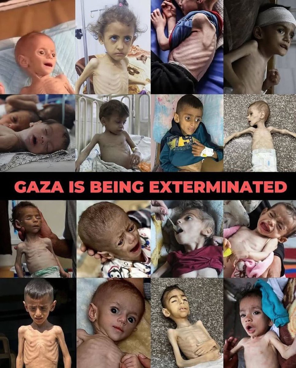 MotazSaleh2001's tweet image. Gaza is starving.
Are you still with us ? Do you hear us !๐๐ต๐ธ
If you see this pic, LEAVE a dot. spread it ๐