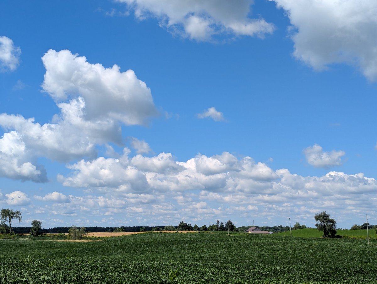 Barclay C Nap tweet media