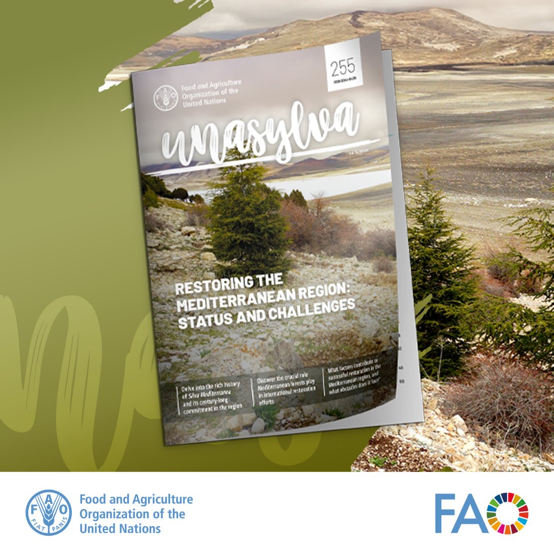 FAOForestry's tweet image. Download the latest edition of @FAO’s #Unasylva journal: Restoring the Mediterranean region: status and challenges
🔗ow.ly/IuLZ50SJVZx
#GenerationRestoration