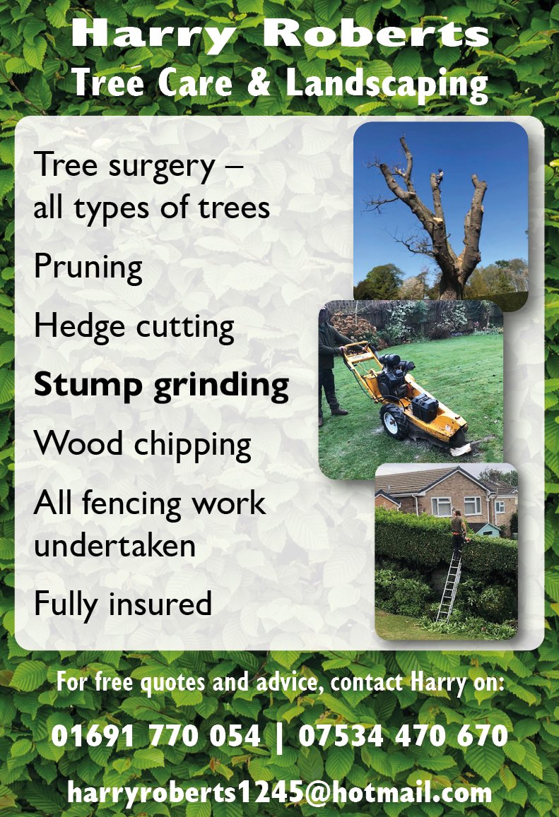 Love Wrexham Magazine (@love_wrexham) on Twitter photo Harry Roberts Tree Care & Landscaping
Tree surgery | Pruning | Hedge cutting | Stump grinding | Wood chipping | All fencing work undertaken
Fully insured
For free quotes and advice, contact Harry on 07534 470 670
mailto:harryroberts1245@hotmail.com
#nw4b
#northwalessocial Harry Roberts Tree Care & Landscaping
Tree surgery | Pruning | Hedge cutting | Stump grinding | Wood chipping | All fencing work undertaken
Fully insured
For free quotes and advice, contact Harry on 07534 470 670
mailto:harryroberts1245@hotmail.com
#nw4b
#northwalessocial