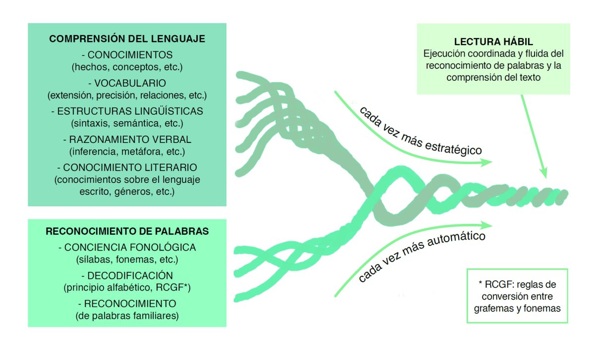 ¿Cómo se desarrollan los procesos que dan lugar a la #compresion lectora? 🤔

📚 El «modelo de la cuerda» ilustra cómo la práctica mejora la #habilidad lectora, desarrollando una mayor compresión del #lenguaje y reconocimiento de las palabras 👇👇👇