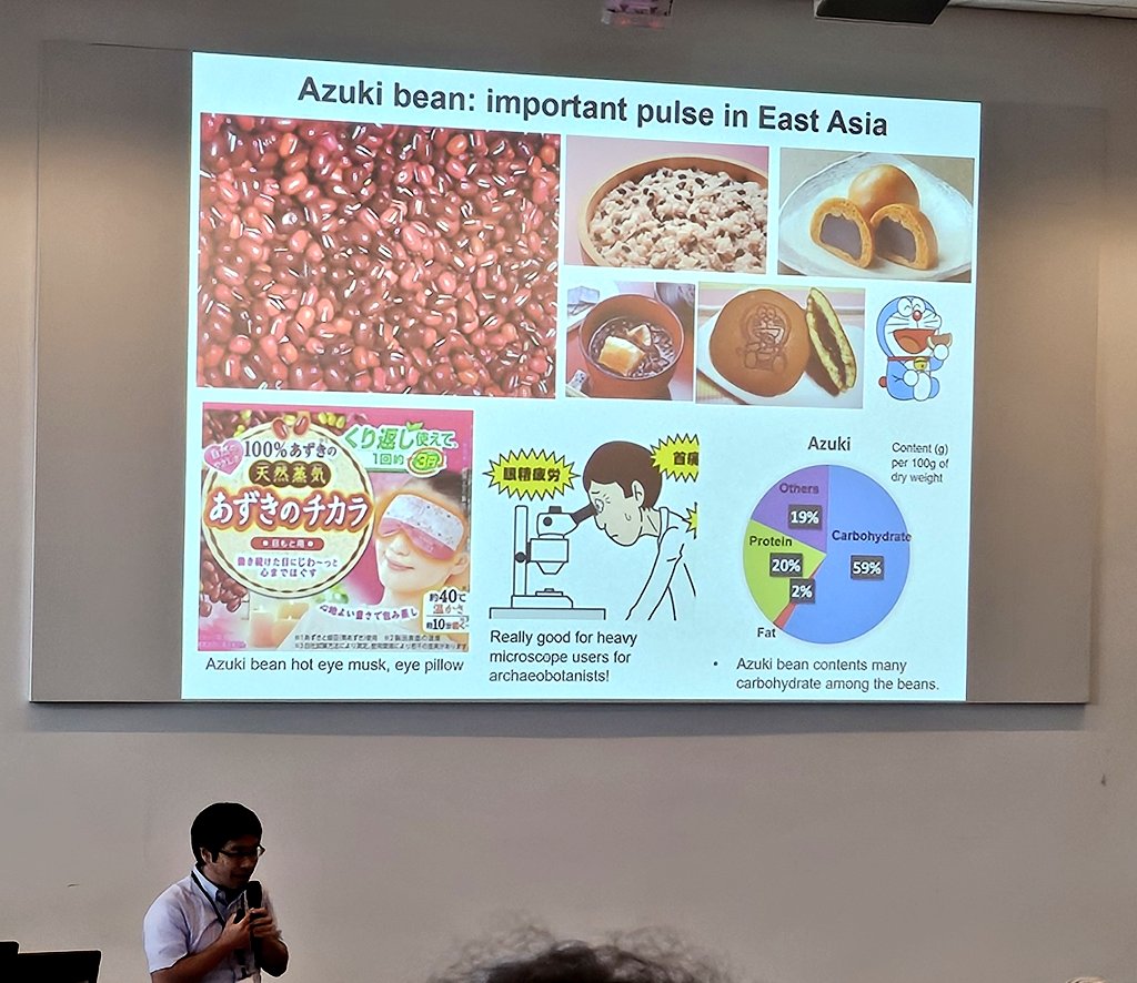DrJenniferBates's tweet image. More #plant management and #Resilience at #IWGP2025. Thinking through weed floras, date palm in the Nile, geophytes, azuki beans and fire propagation, and Australian Aboriginal food histories amongst much more.
#archaeology #archaeobotany #archaeologicalscience #ethnobotany