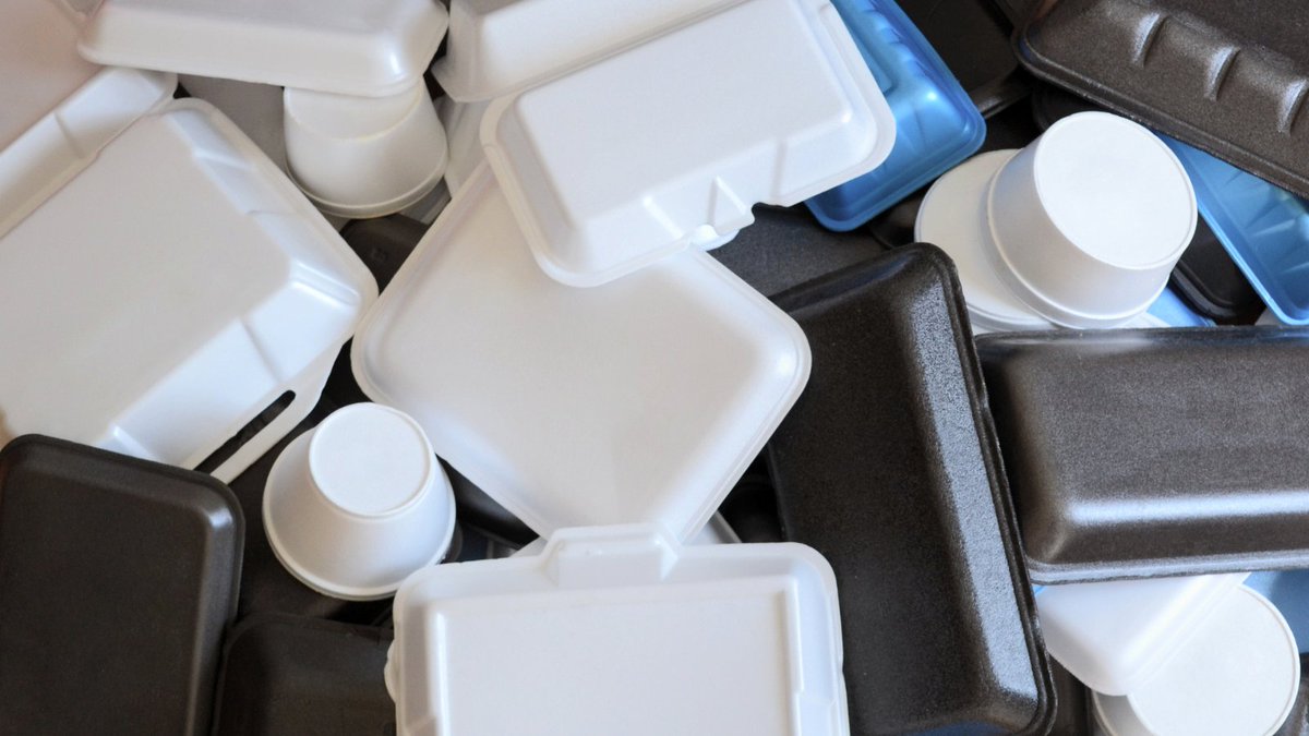 Plastic foam pollution? There’s a better way, one that’s strong, compostable &amp; kind to the planet. 🌱 Discover how NC State researchers are developing a plant-based alternative to traditional foam packaging: cnr.ncsu.edu/news/2025/07/f…