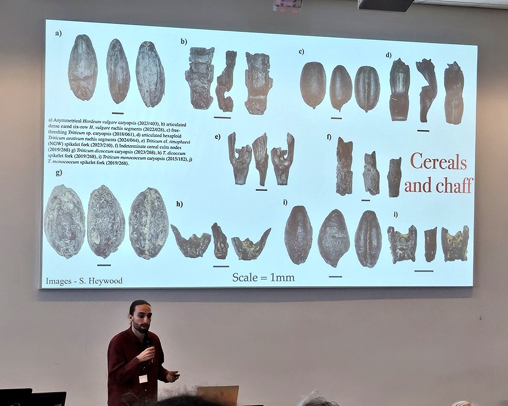 DrJenniferBates's tweet image. More #plant management and #Resilience at #IWGP2025. Thinking through weed floras, date palm in the Nile, geophytes, azuki beans and fire propagation, and Australian Aboriginal food histories amongst much more.
#archaeology #archaeobotany #archaeologicalscience #ethnobotany