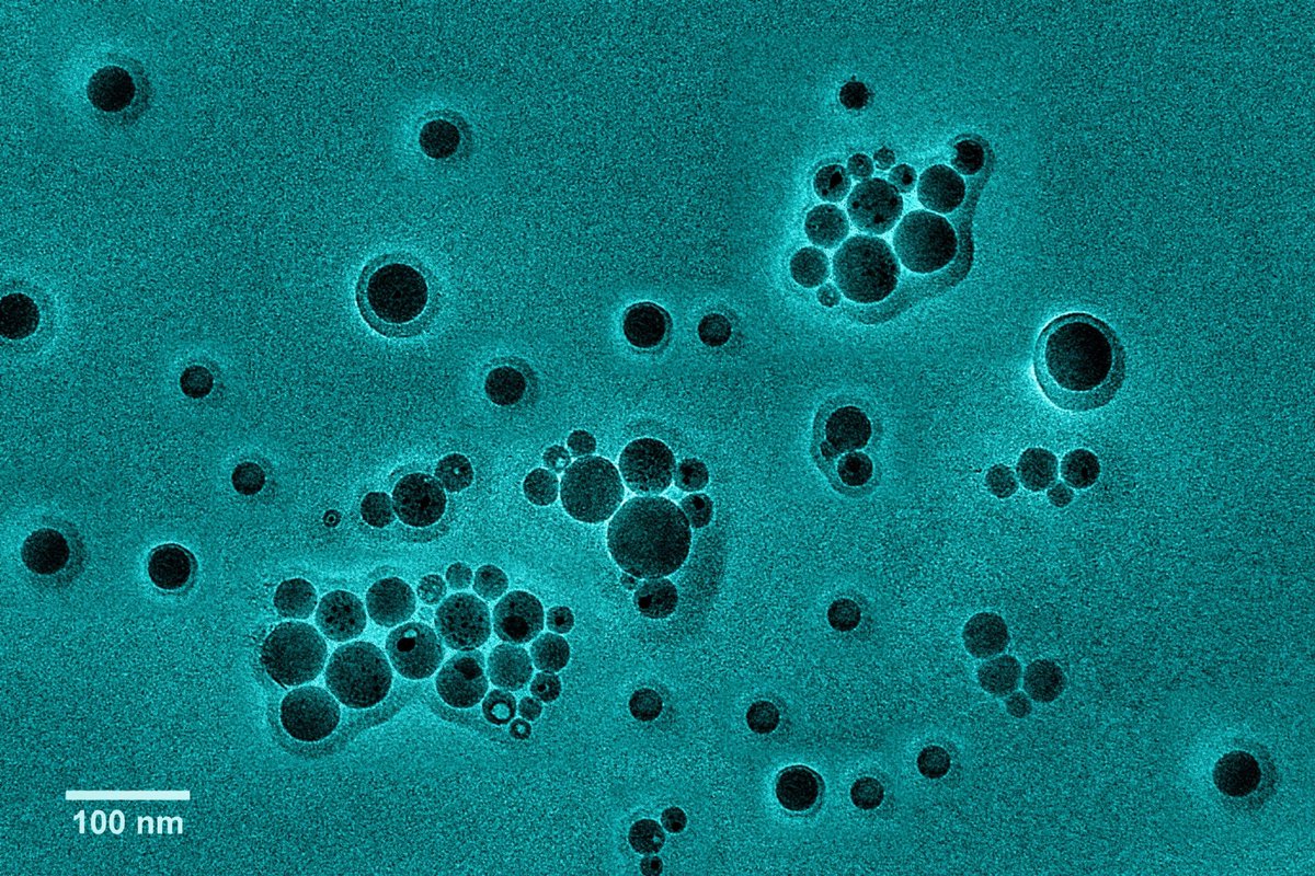 New clean laser tech creates ultra-pure nanoparticles, powering smarter sensors, XR and human-machine interfaces 🔬 Researchers say it’s scalable and eco-friendly 🌱 #Tech #Science #AzoNano azonano.com/news.aspx?News…