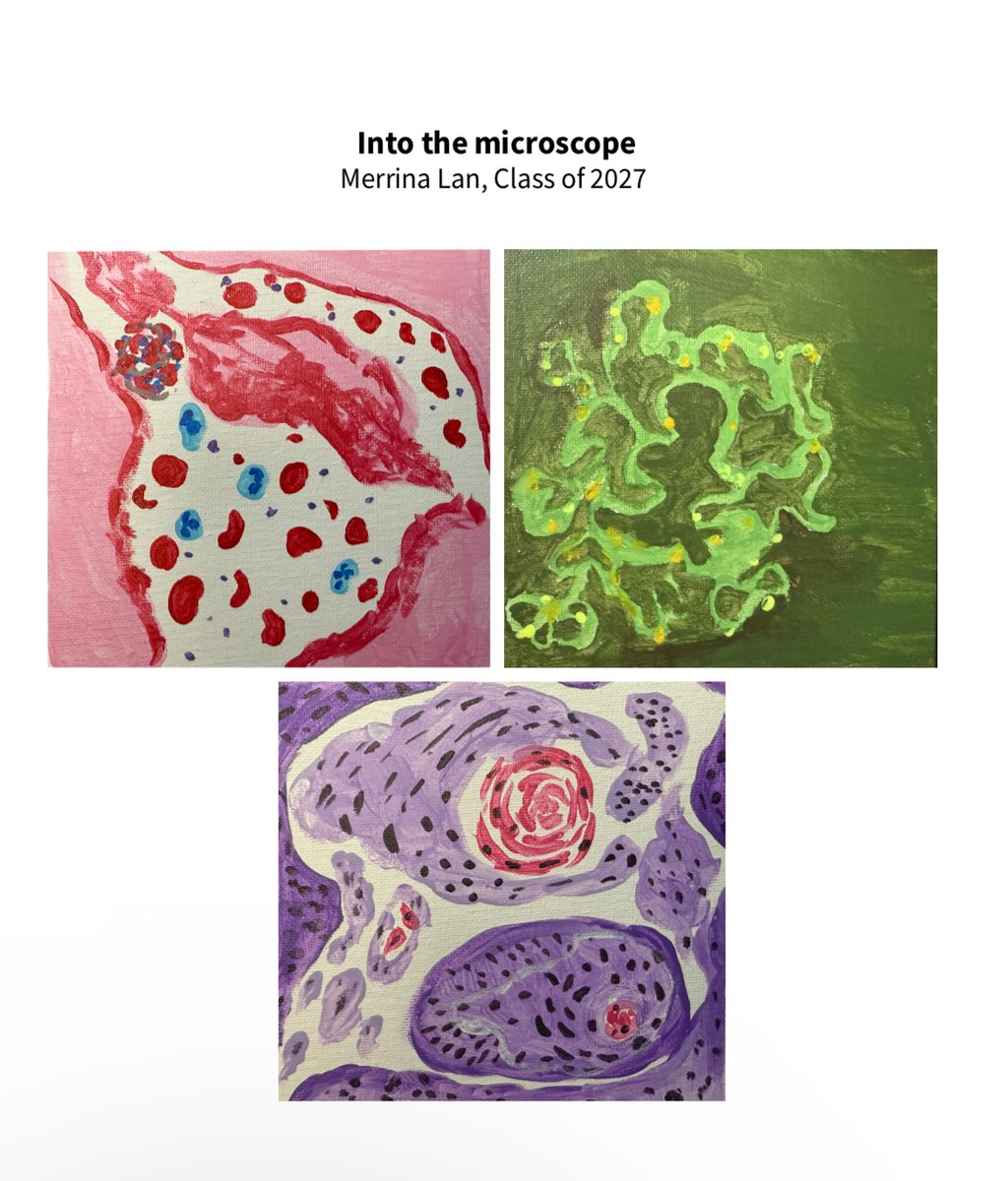 Today's #MedArts feature is "Into the Microscope" by <a href="/OhioStateMed/">The Ohio State University College of Medicine</a> student Merrina Lan. #humanisminmedicine