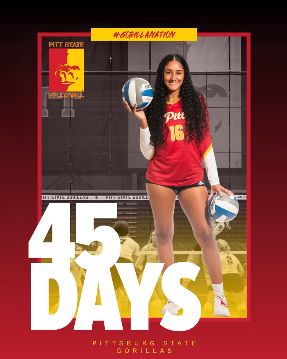 We're down to 45 days.

Gorilla Volleyball opens the season at home on September 5th against Lubbock Christian 🦍🏐