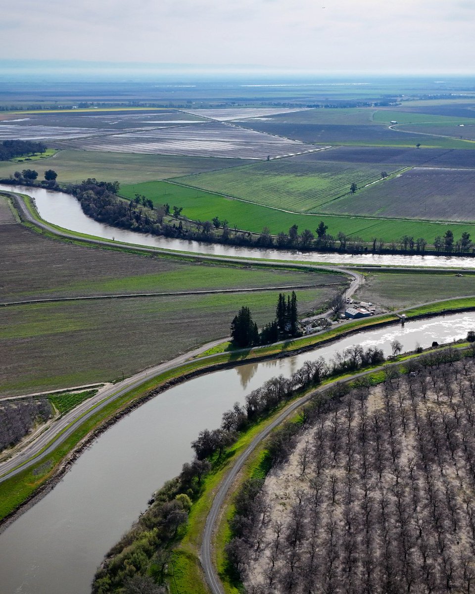 CalTrout's tweet image. 🌾🐟 Our Fish Food Program is transforming fish recovery in CA’s Central Valley! When juvenile fish can't reach natural floodplains on their own, we bring the floodplain benefits TO THEM! How does this work & how can we scale? Click the link to find out! caltrout.org/news/how-fish-…