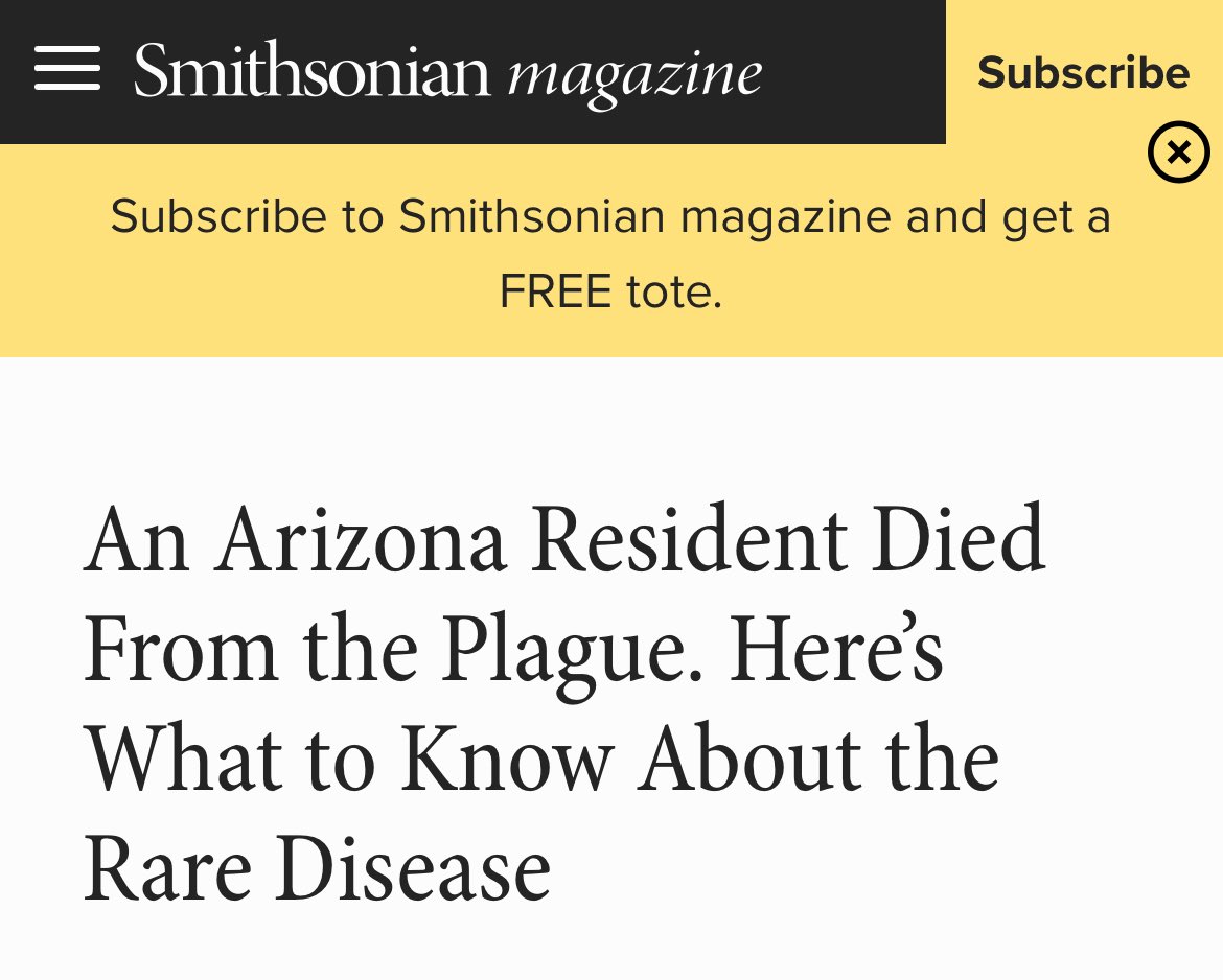 insatiablevine's tweet image. Nothing like Letting in 20 million illegals from third world countries so we can enjoy new diseases like the plague.