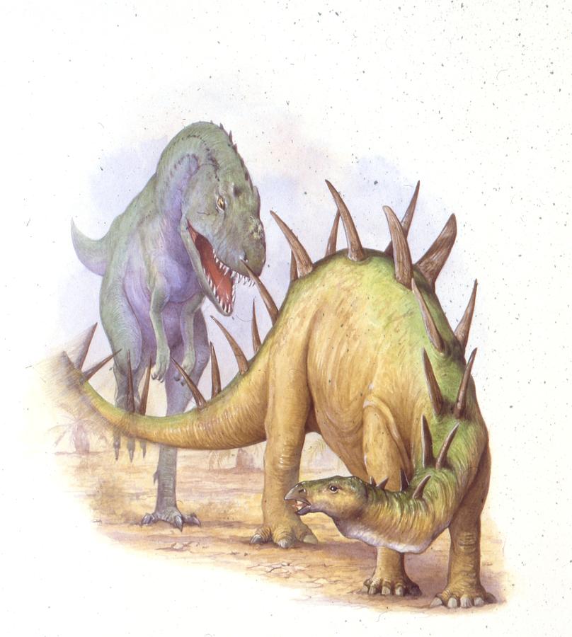 dinonostalgia's tweet image. Chialingosaurus, the Chialing lizard, is a stegosaurian dinosaur from the Late Jurassic of China.
It lived 160 million years ago and could grow to 4 meters in length.