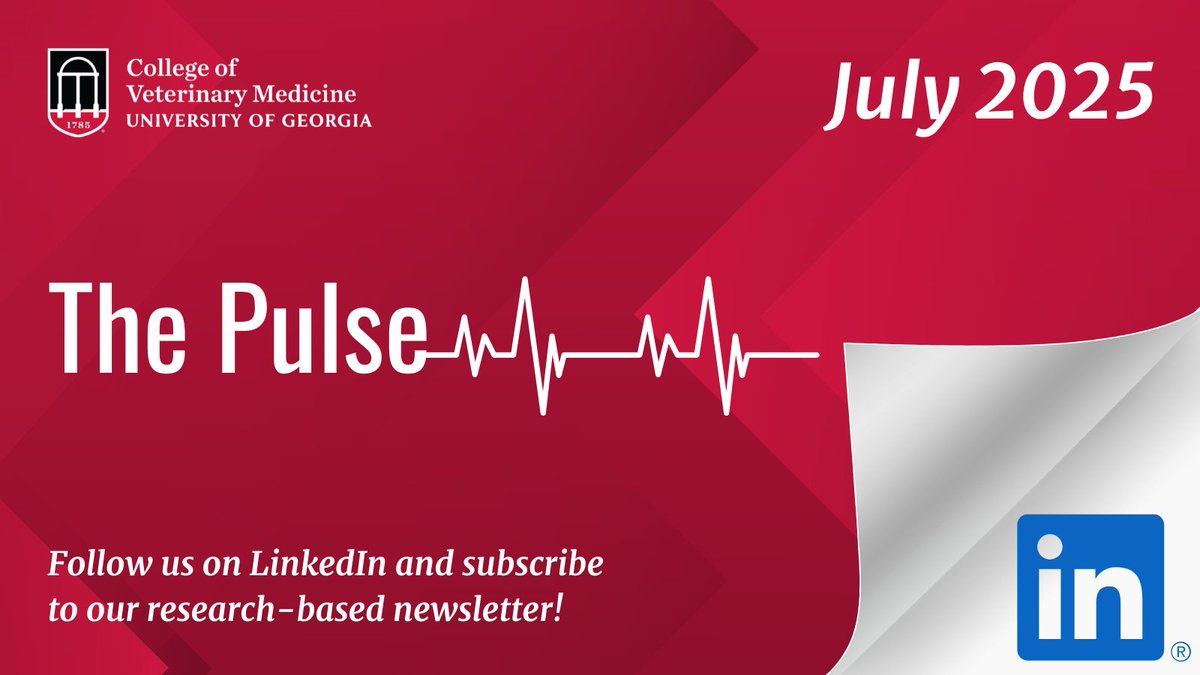 ugavetmed's tweet image. The July issue of The Pulse is out! 📰
This month highlights:
• Bringing Standing CT to UGA
• Precision One Health team with new organoid research
• Daniel Perez and how gene-swaps could let influenza jump species
... and much more!
--
🔗 Read now: bit.ly/46ozIAy