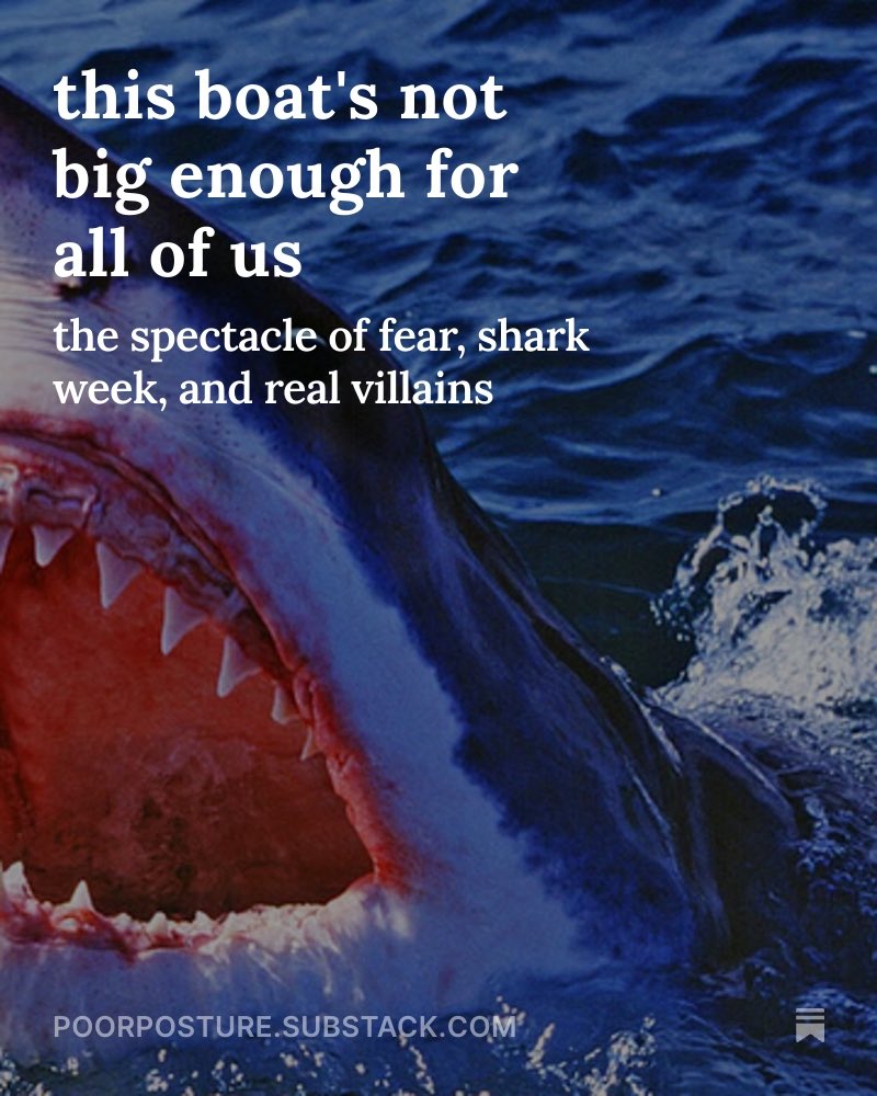 poor posture tweet media