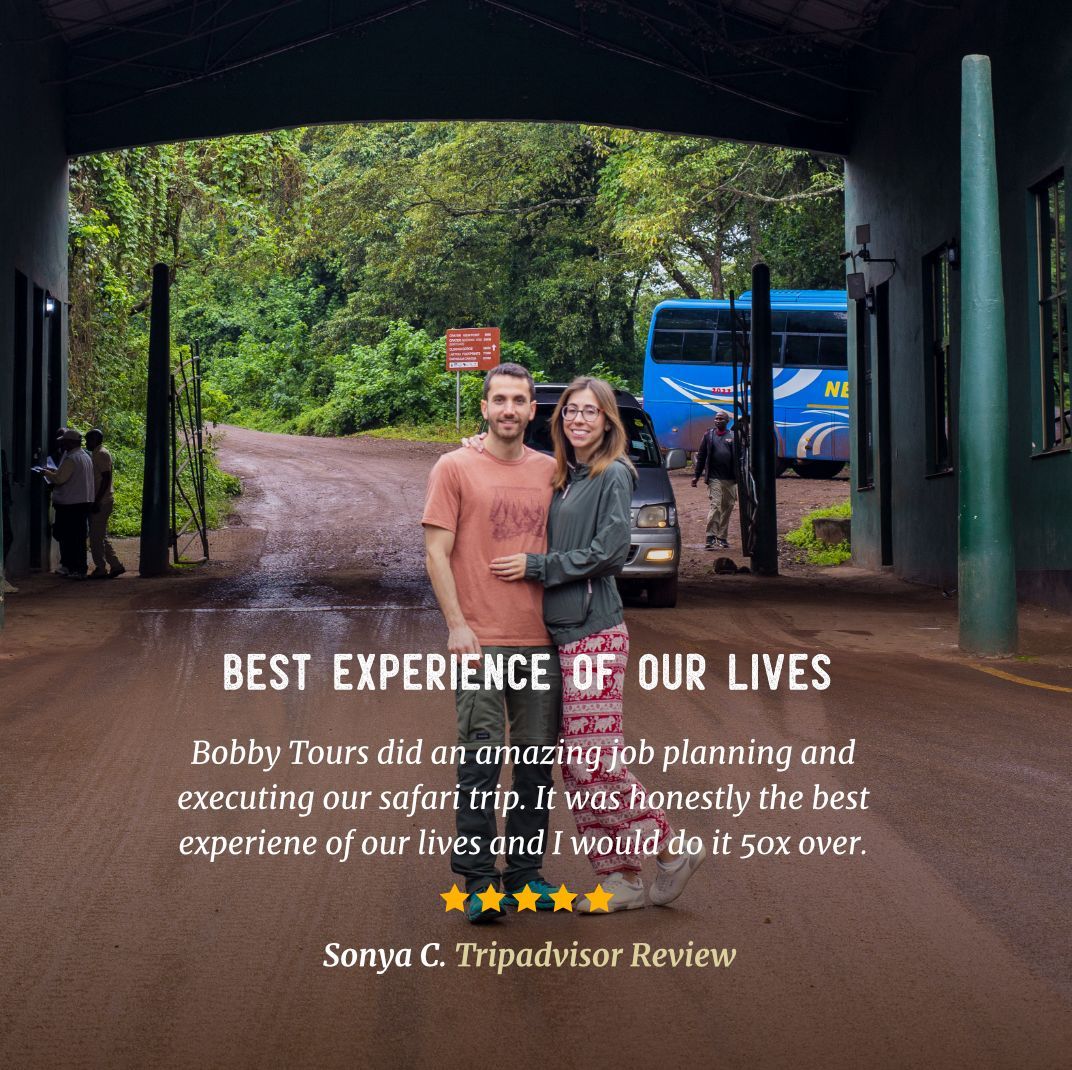 Bobby tours did an amazing job planning and executing our safari trip. Juma and Dixon were great guides and didn't stop until we saw the big 5 plus 10 more animals! It was honestly the best experience of our lives and i would do it again 50x over.

Sonya C
Tripadvisor Review