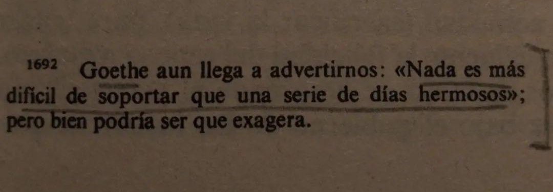 cconrado__'s tweet photo. https://t.co/SdaqTTNE1Q