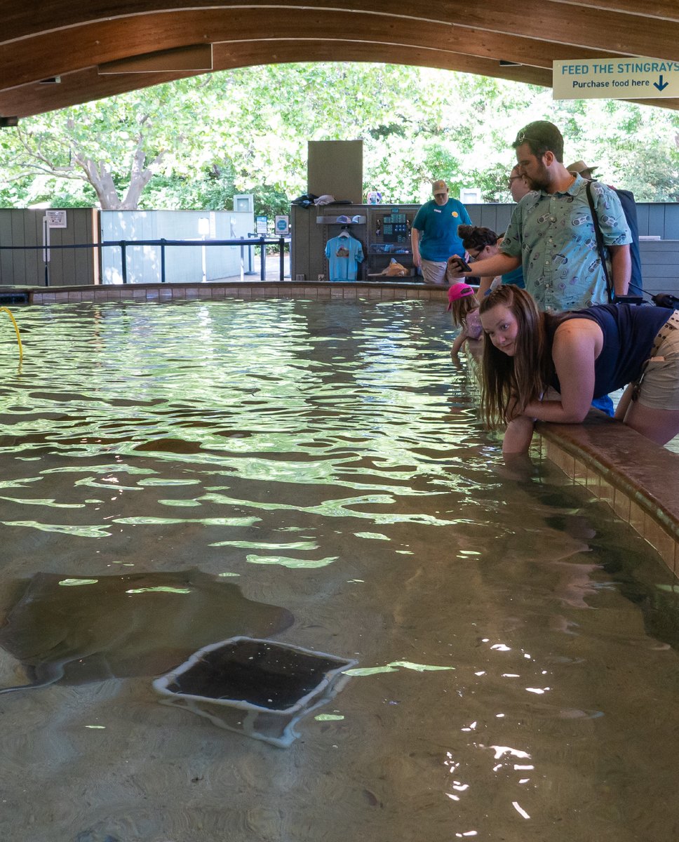 FriendsU's tweet photo. Today, we are celebrating Zookeeper Appreciation Week with a few more photos from our recent visits to @sedgwickcountyzoo! #ZookeeperAppreciationWeek #MyFriendsU Learn more at https://t.co/KemRFNhiVG https://t.co/qFBspgXUIy