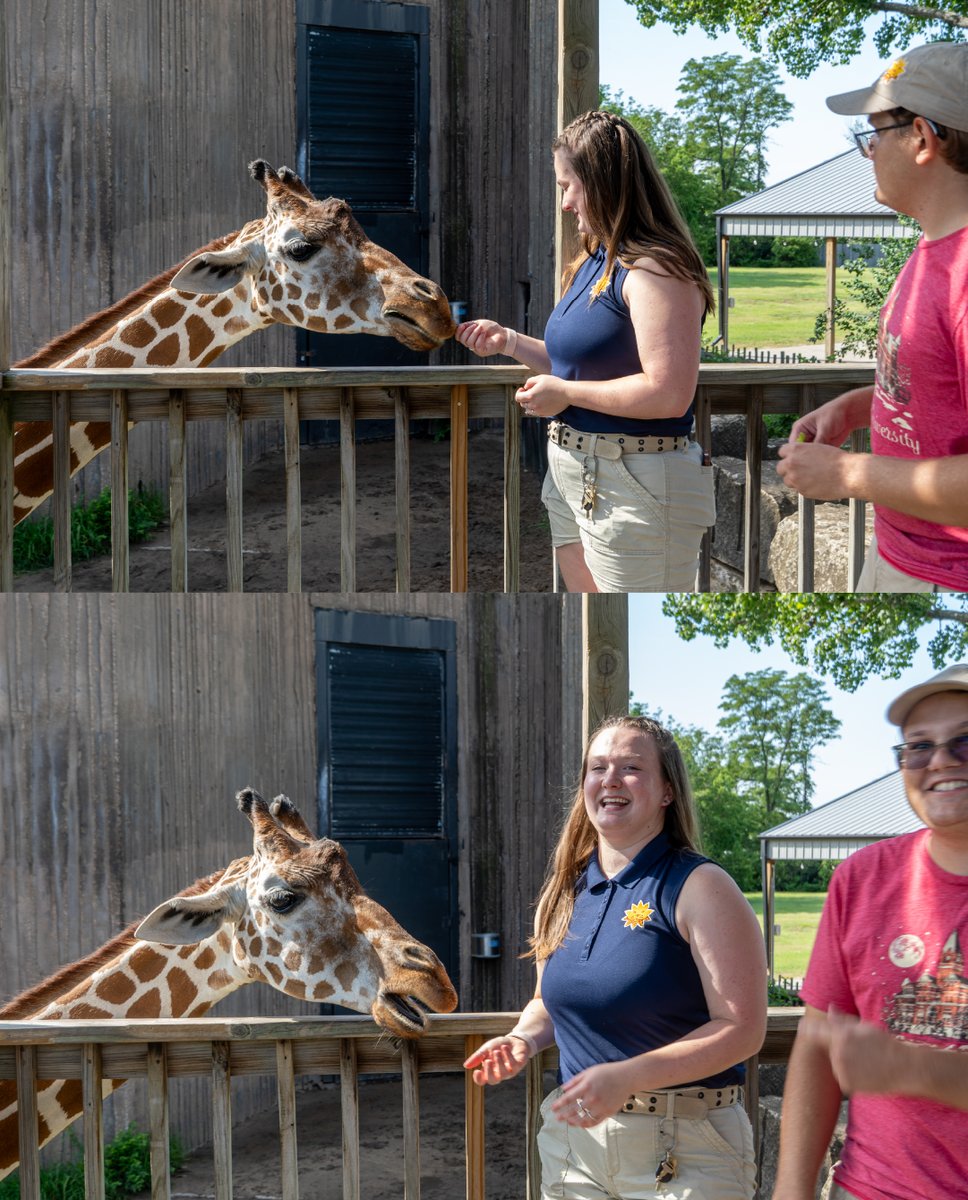 Today, we are celebrating Zookeeper Appreciation Week with a few more photos from our recent visits to @sedgwickcountyzoo! #ZookeeperAppreciationWeek #MyFriendsU Learn more at friends.edu/zooscience