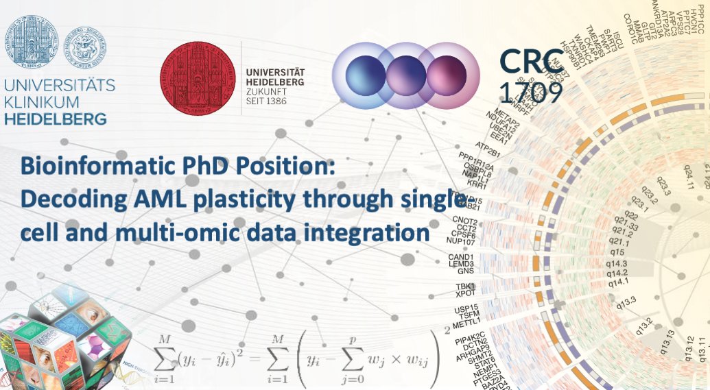 🚨Job Alert!
🔬 PhD Position in Bioinformatics! Join my group at Heidelberg University to study AML dormancy &amp; therapy resistance using multi-omics &amp; single-cell data.  
📷Apply or share: karriere.klinikum.uni-heidelberg.de/index.php?ac=j…