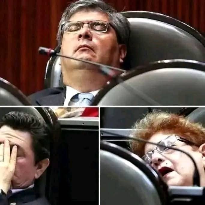 DeniseMeadeG's tweet image. Así trabajan los de Morena. La curul como cama en la Cámara de Diputados.
Qué duerman los angelitos, que la paga esta garantizada, para cuando despierten y paren el dedo a favor de las idioteces de los tiranos.