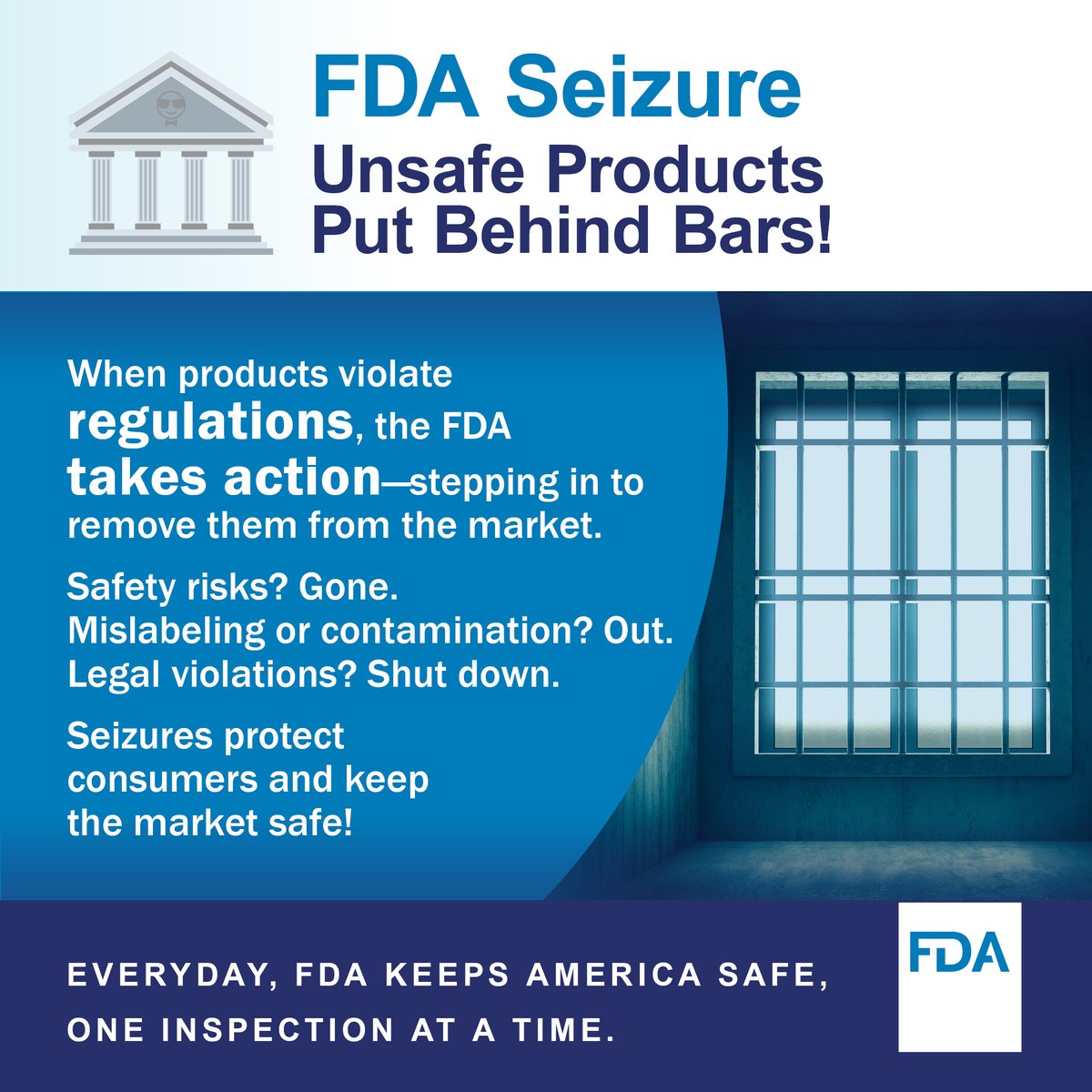 FDA Seizure Unsafe Products Put Behind Bars! 🏛️