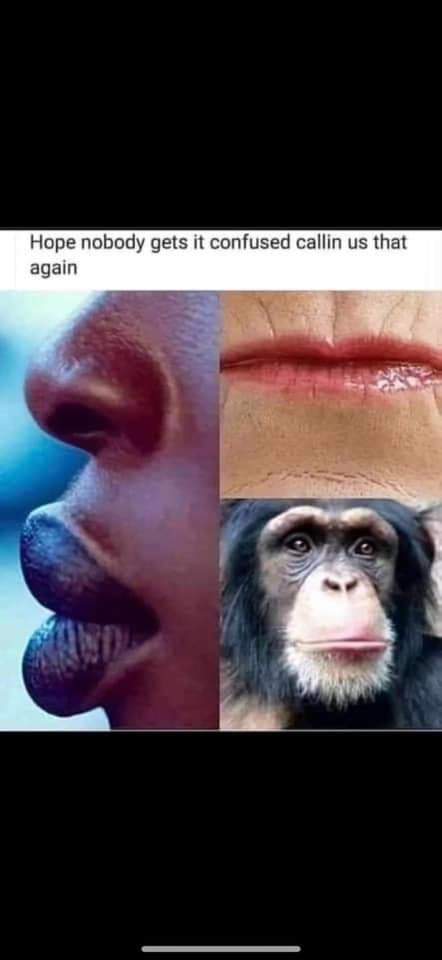 Blackzilla91's tweet photo. @idskrankefotze @arminiusdd 🤔 https://t.co/pQQtTNjyY5