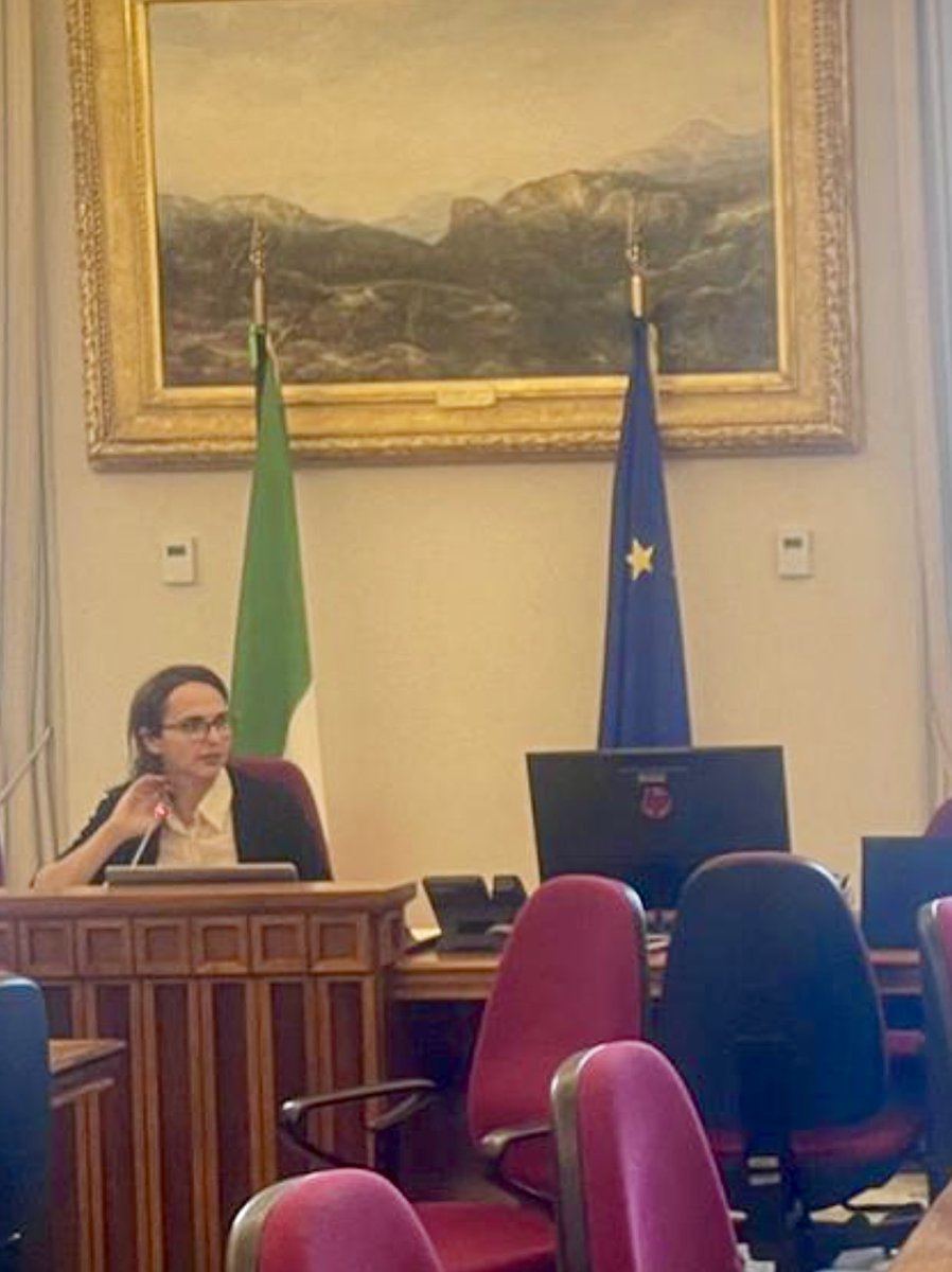 AsilaA's tweet image. I spoke at the Italian Senate & Parliament about the dire situation of Afghan refugees being forcibly returned from Iran. I stressed the urgent need for protection/support, and highlighted how the Italian government can play a crucial role in assisting them and their needs.