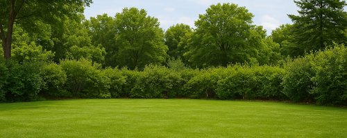 Cooldev444's tweet photo. @Ga__ke @Ga__ke i think i have the right solution for you, $grass coin, instead of going outside and touching grass you can now buy it digitally, this will help your mental health!

CA: HCbxV2Wrtr17qPzTMvrRgfKm1D96DSabayoRAL7zbonk https://t.co/JzNIZx9M4l