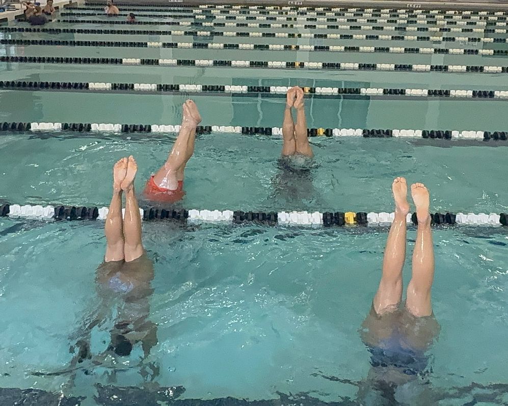 UofSC_AT's tweet image. Diving into aquatic therapy for the upper extremity! 🤿🏊🏽♂️🌊