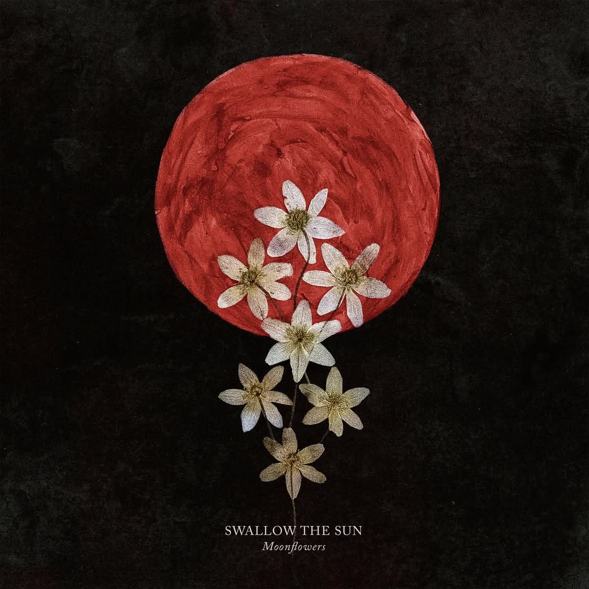 TitoVespasiani's tweet image. My jam today!

What do you think of Swallow the Sun?