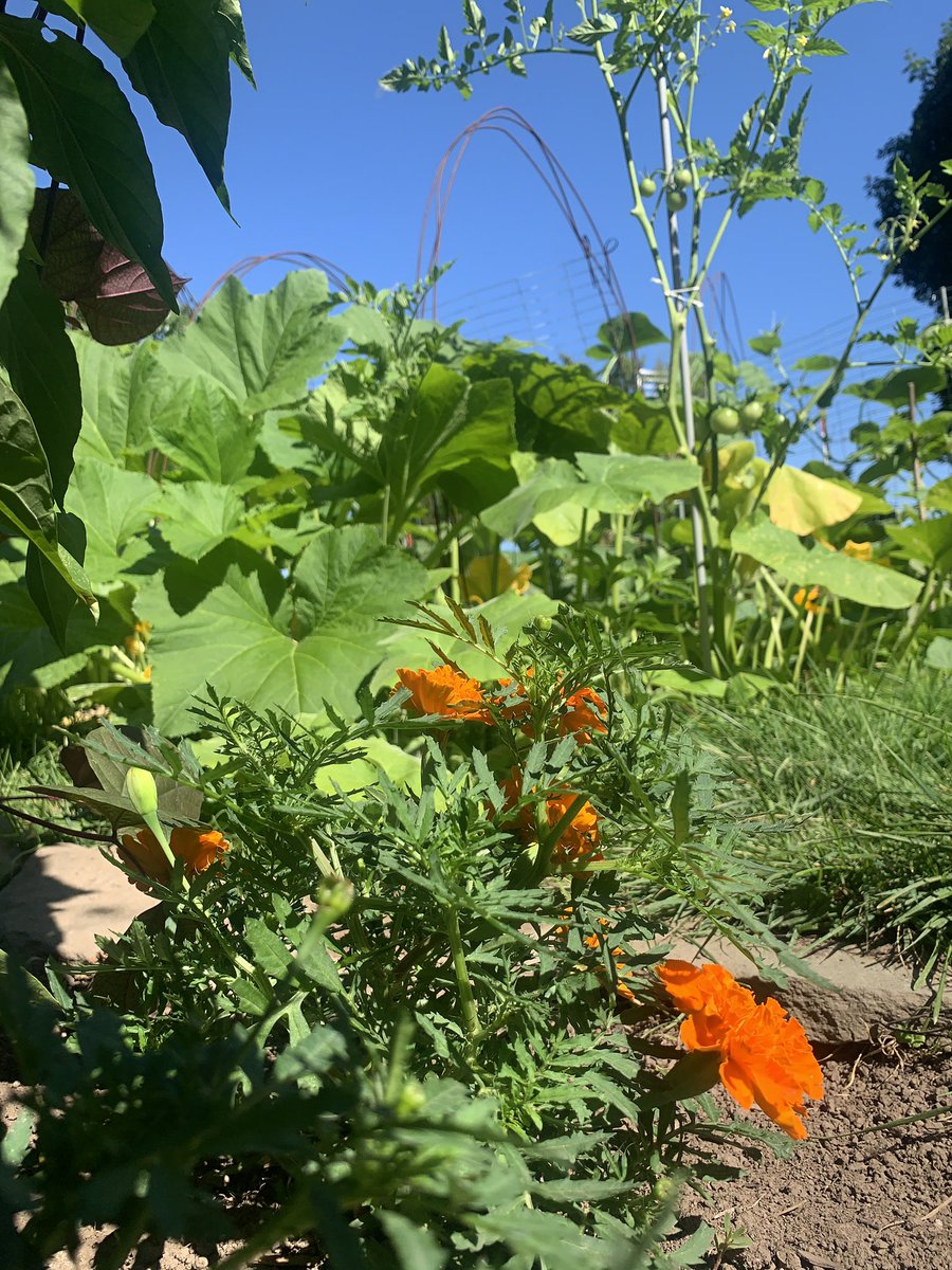 Love the little pops of color 😍