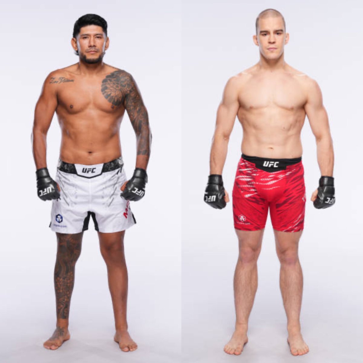 mma_orbit's tweet image. Jose Medina will take on Dusko Todorovic at #NocheUFC on September 13th.