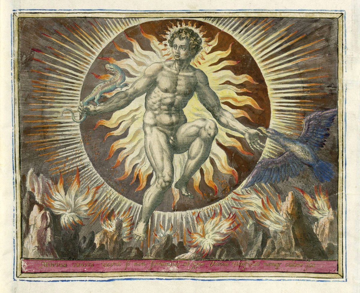 StephenGeoRae's tweet image. Adriaen Collaert's engravings of 1583 depict personifications of Aristotle鈥檚 classical elements:
Air - birds, insects and angels
Fire - phoenix and salamander
Earth - life and death; land creatures
Water - bounty of the mighty sea