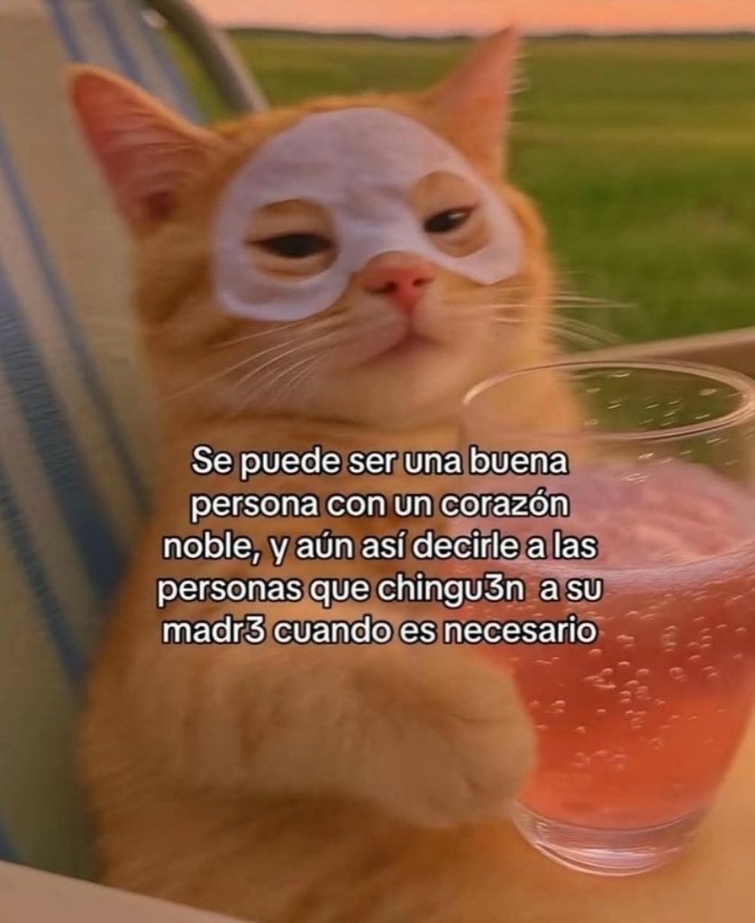 No confundas nobleza con debilidad