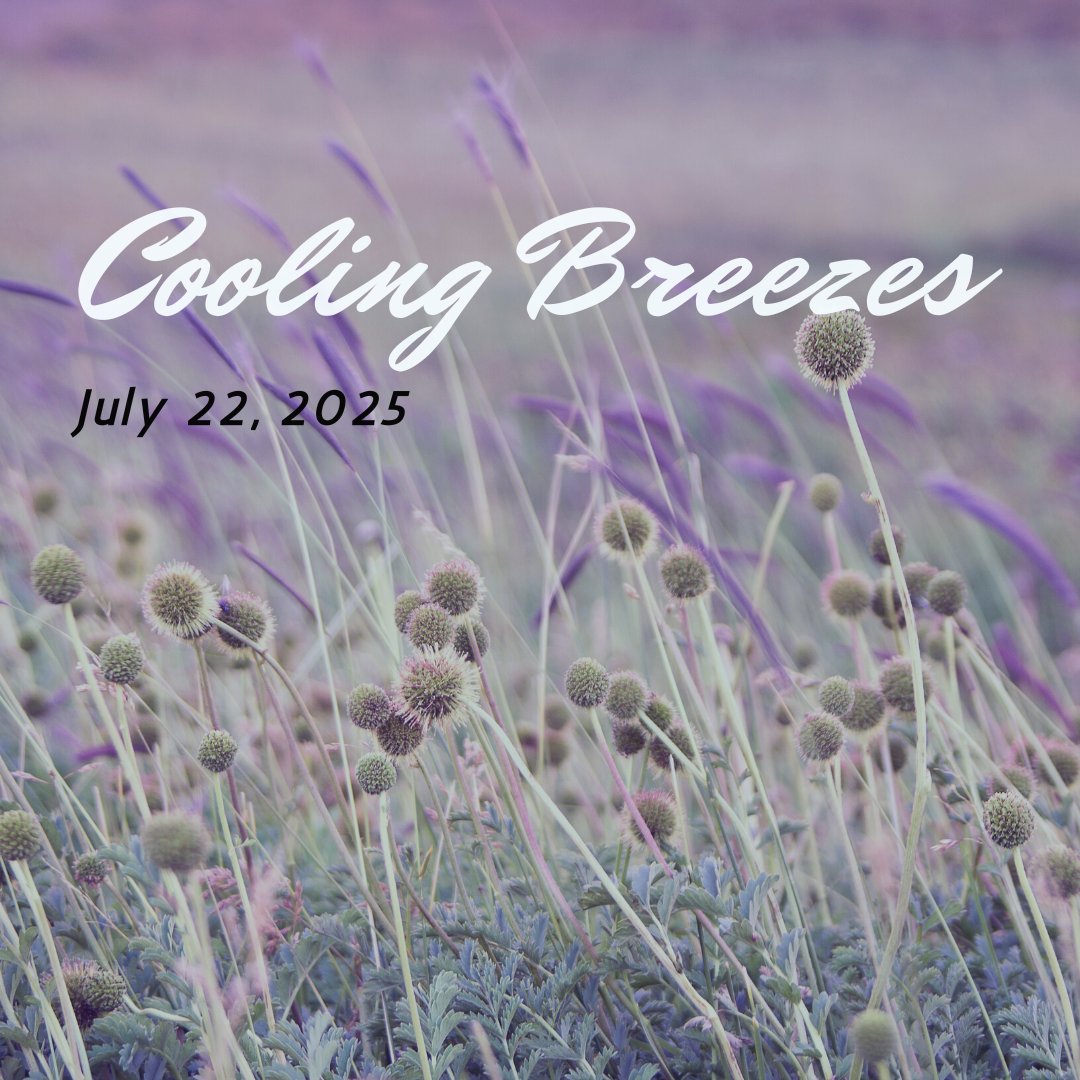 JournalDiana11's tweet image. July 22, 2025
COOLING BREEZES
“I want to assure you that COOLING BREEZES will come to BLOW ACROSS your nation. I AM sending these COOLING BREEZES from Heaven, and they will bring an atmosphere of PEACE and REST. These BREEZES WILL COOL DIVISIVE RHETORIC that SPEWS from LIARS…
