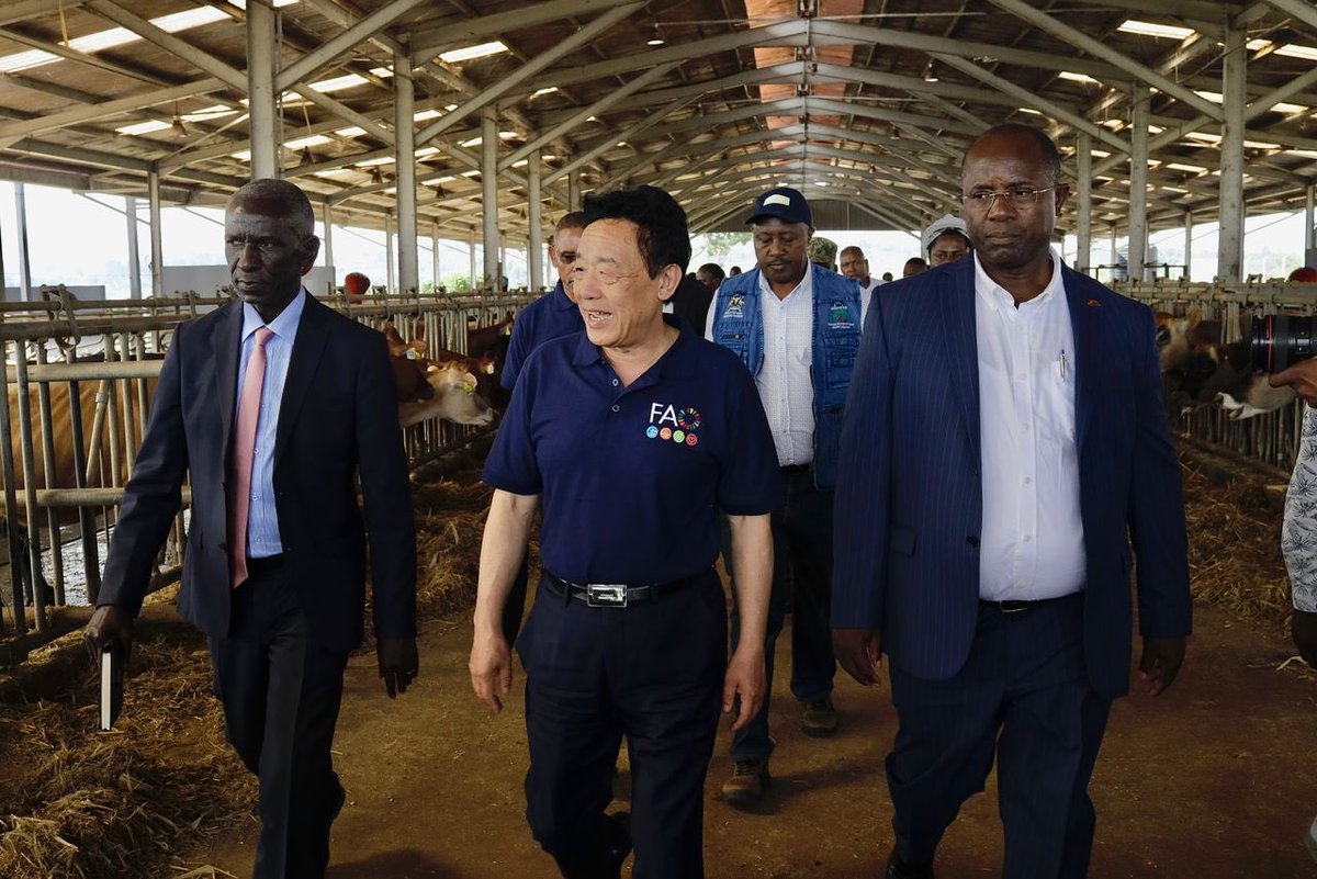 FAOUganda's tweet image. Today more than ever, #agricultural research is vital.
@FAO & @narouganda collaborate in research & dev’t of resilient crop varieties that can match up to new and emerging threats.
@FAODG today paid homage to this enduring collaborations & pledged continued support.