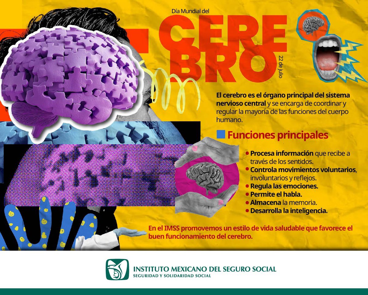 🧠  ¡Hoy conmemoramos el #DíaMundialDelCerebro!

Es el órgano que coordina todo lo que somos: emociones, pensamientos, movimientos y memoria.

💬 Cuídalo con una vida saludable: alimentación balanceada, ejercicio y descanso.