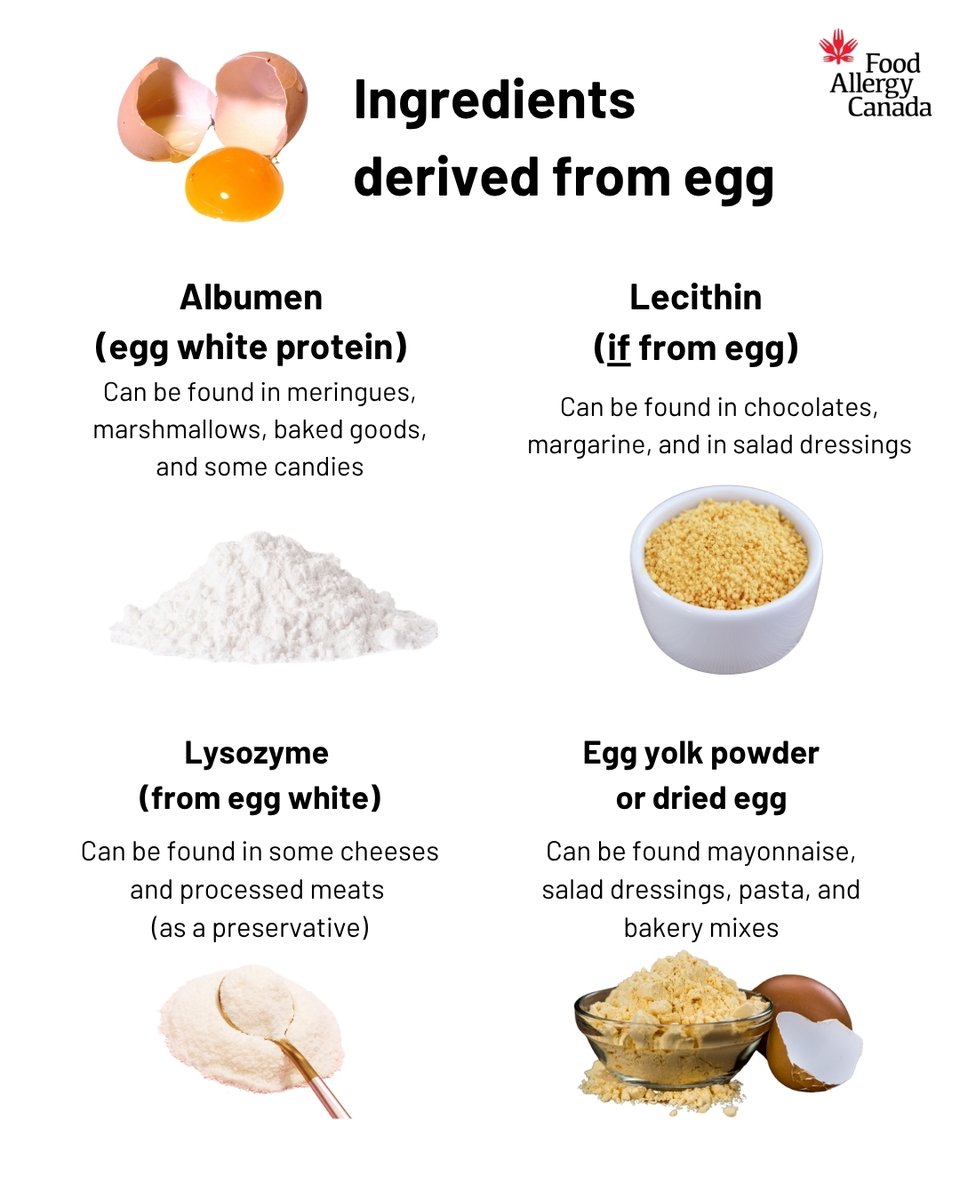 FoodAllergyCAN's tweet photo. π₯ Here are some ingredients derived from egg! Read ingredient labels every time you buy or eat a product.
Learn more about egg allergy using this link: https://t.co/MvKCaF9TJG #EggAllergy
#Eggs #PriorityAllergens #CommonAllergens #FoodAllergy https://t.co/pzNaeRk9BC