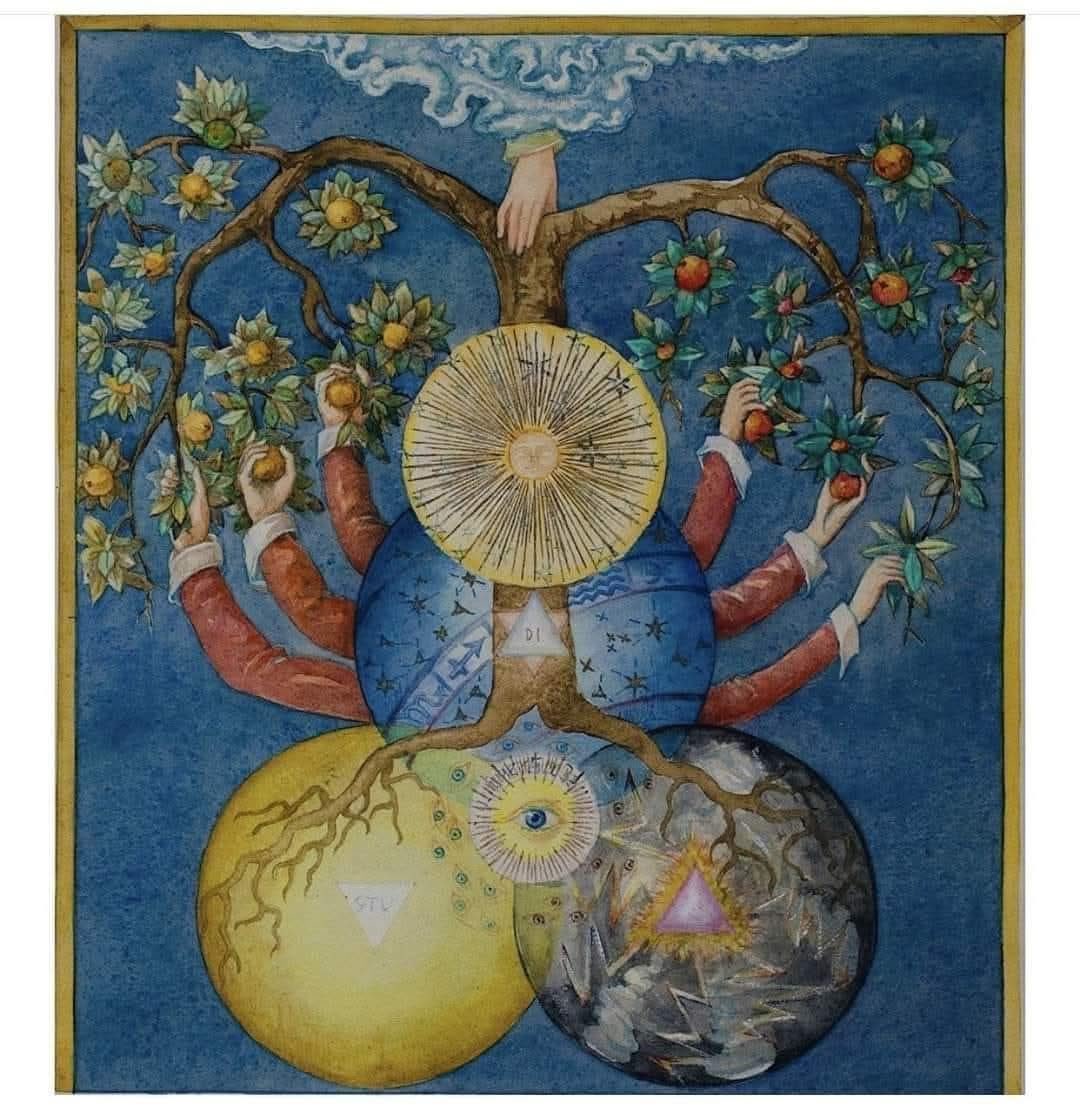 The4thWayYT's tweet image. This image is based on an engraving from 1698 from a book by Valentin Weigel entitled Studium universale. The message of this book and its illustration is that simply plucking the fruits of the Tree of Knowledge only amounts to a ‘studium particulare’, a study that can only yield…