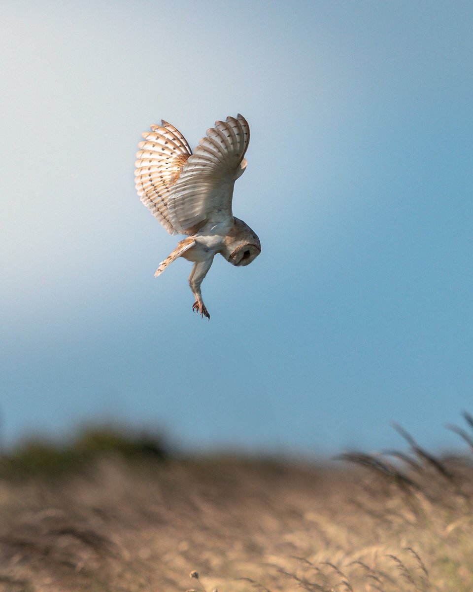 Paul Browning Photography tweet media