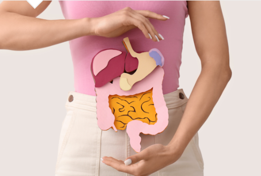 saocamilosp's tweet photo. Cuidar do intestino é essencial! Ele abriga um ecossistema com cerca de 300 trilhões de bactérias, muitas delas fundamentais para a nossa saúde.
Descubra por que a saúde intestinal impacta o corpo inteiro.
 Leia a matéria completa: https://t.co/sCHz9GGK7e https://t.co/4jajDfbFOZ